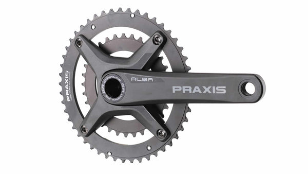 PRAXIS ALBA LT2 ALBA X DM M30 172、5mm ALBA-GR-16.9_grande.jpg?v=