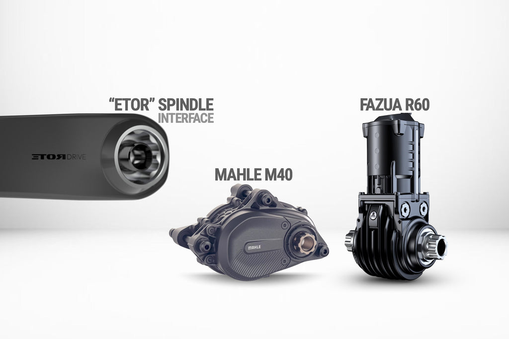 Praxis Type-6 E-Cranks - ETOR